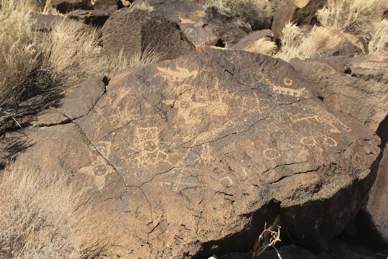 Petroglyph National Monument 